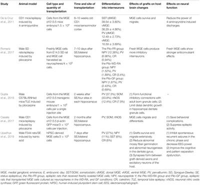 Application of Medial Ganglionic Eminence Cell Transplantation in Diseases Associated With Interneuron Disorders